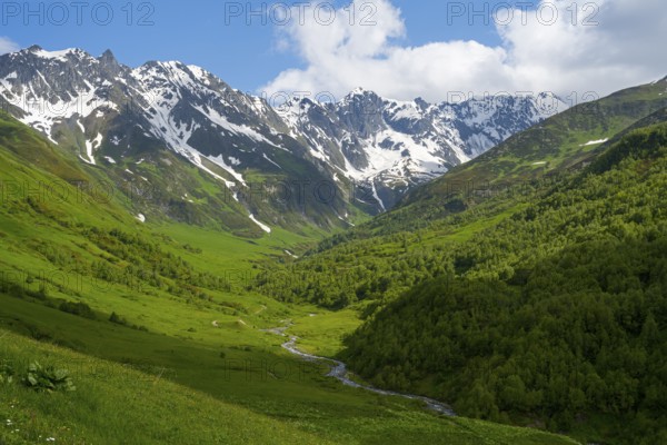 River flows through green valley with snow-covered mountain views, Zagari Pass, Svaneti, Svaneti, Greater Caucasus, High Caucasus, Georgia