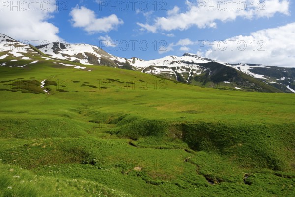 Wide green meadows lead to snow-capped mountains under clear skies, Zagari Pass, Svaneti, Greater Caucasus, High Caucasus, Georgia