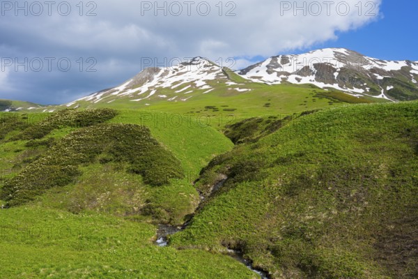 Hilly green valleys with snow-covered mountain ridges and clouds, Zagari Pass, Svaneti, Greater Caucasus, High Caucasus, Georgia