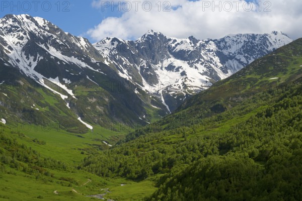 Valley with view of snow-capped mountains and forests, Zagari Pass, Svaneti, Greater Caucasus, High Caucasus, Georgia