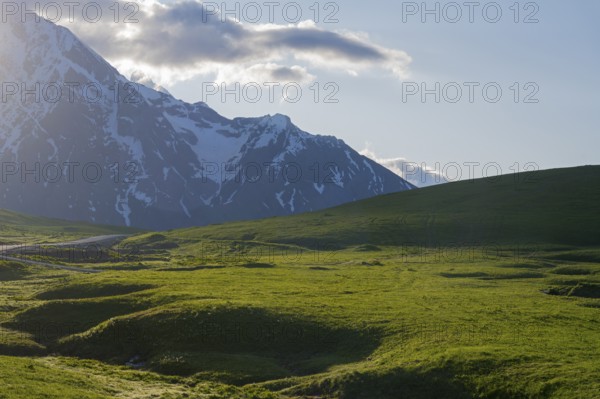 Green meadow in front of snow-covered mountain under sunshine, Zagari Pass, Svaneti, Greater Caucasus, High Caucasus, Georgia