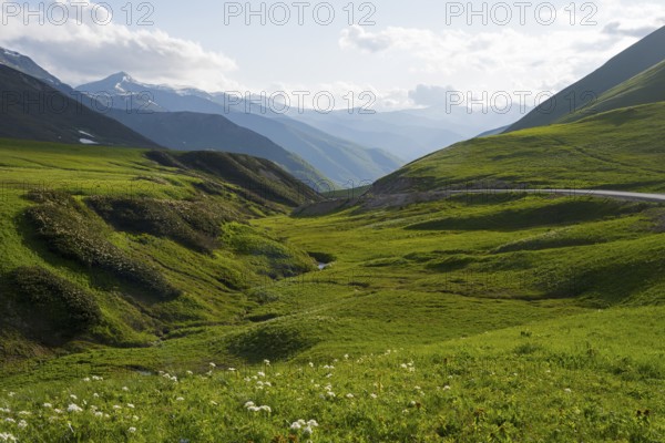 Scenic green valley stretches between mountain ranges under a cloudless sky, Zagari Pass, Svaneti, Greater Caucasus, High Caucasus, Georgia