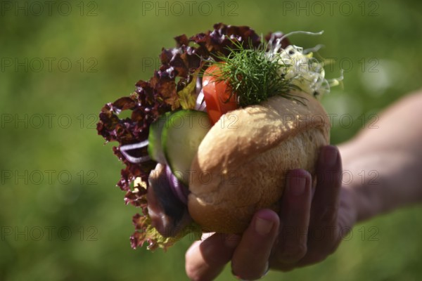 Matjes rolls, Bismarck rolls, fish rolls