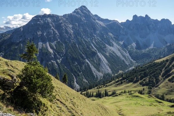 View from the Saalfelder Höhenweg to the mountains of the Allgäu Alps, Tannheimer Tal, Tyrol, Austria