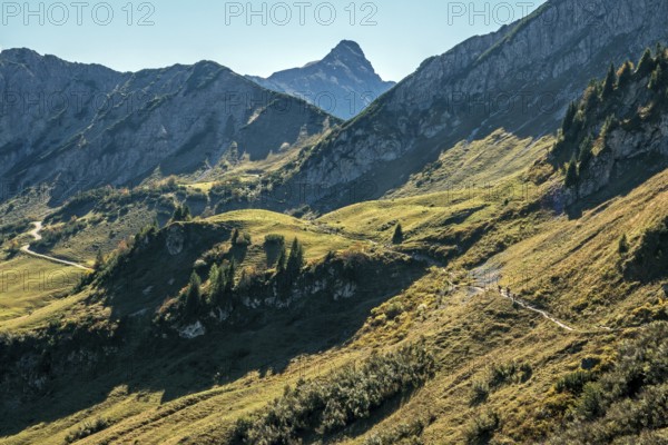View of hiking trails and the Allgäu mountains from the Saalfelder Höhenweg, Schochenspitze in the back, Tannheimer Valley, Tyrol, Austria