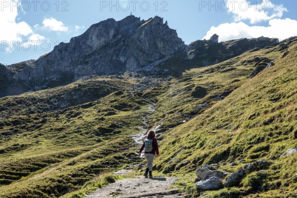 Female hiker on hiking trail, Sallfelder Höhenweg, back Schochenkopf, Tannheimer Mountains, Allgäu Alps, Tannheimer Valley, Tyrol, Austria