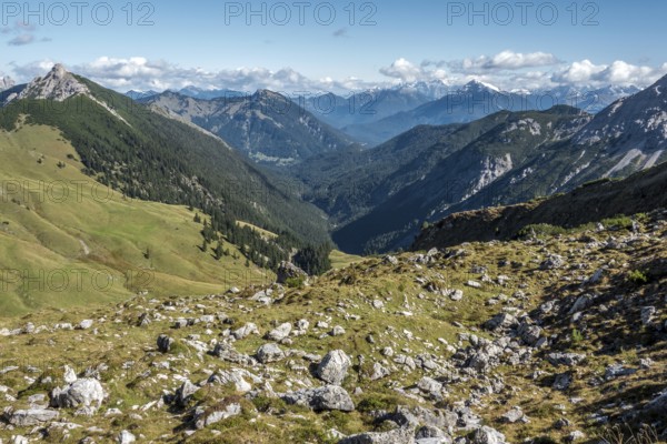 View from the Saalfelder Höhenweg hiking trail to the Tannheimer Mountains, Tannheimer Tal, Allgäu Alps, Tyrol, Austria