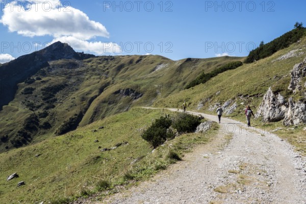 Hiking trail, view from the Saalfelder Höhenweg, Schochenkopf in the back, Allgäu Alps, Tannheimer Tal, Tyrol, Austria
