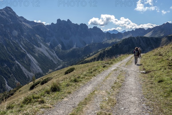 Hiking trail, view from the Saalfelder Höhenweg to the mountains of the Allgäu Alps, Tannheimer Tal, Tyrol, Austria