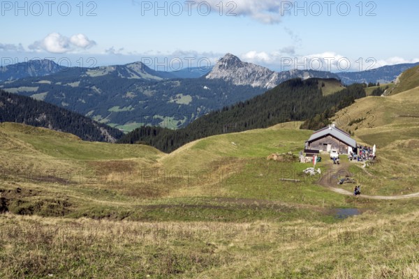 View from the Saalfelder Höhenweg to the Gappenfeldalpe, Tannheimer Tal, Tyrol, Austria