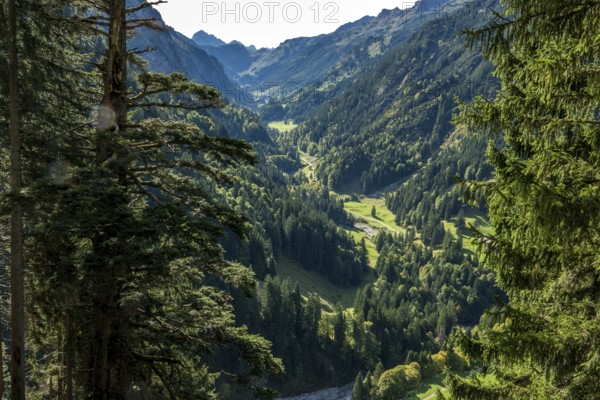 View of the Rappenalptal, near Einödsbach, Birksau, Oberstdorf, Oberallgäu, Allgäu, Bavaria Germany