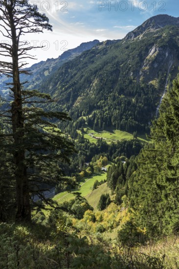 View of Bacherloch Valley and Rappenalp Valley with Buchrainer Alpe, Einödsbach, Birgsau, Oberstdorf, Oberallgäu, Allgäu, Bavaria Germany