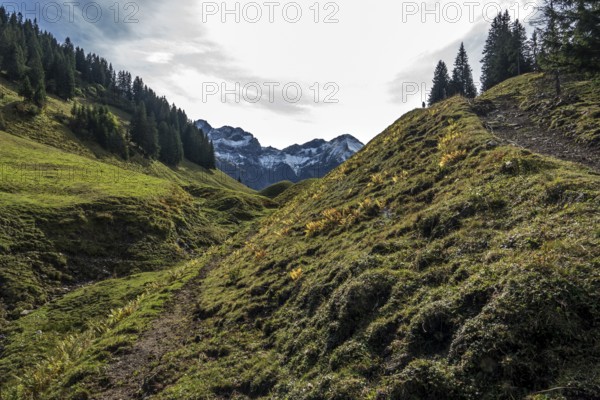 Hiking trail on Einödsberg, Einödsbach, behind mountains of the Allgäu Alps, Oberstdorf, Oberallgäu, Allgäu, Bavaria Germany