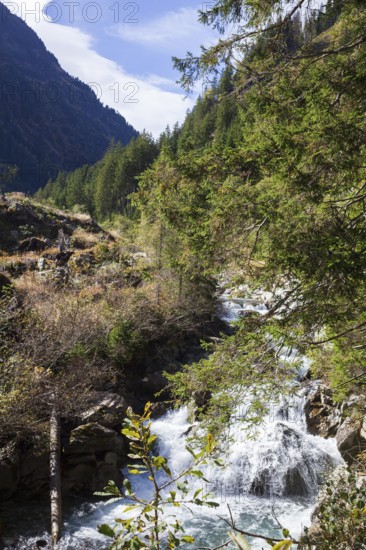 Gorge or Schlucht Ruetz Cataract on the Ruetz River with rapids and waterfall on the Wilde Wasser Weg, WildeWasserweg, Stubai Valley, Tyrol, Austria