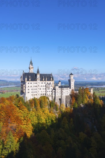 Historic Neuschwanstein Castle rises above colorful autumn forest against bright blue sky, Schwangau near Füssen, Ostallgäu, Allgäu, Bavaria, Germany