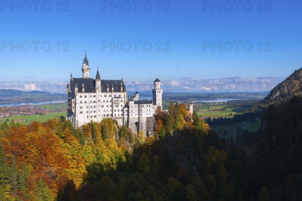 Fairytale castle Neuschwanstein on a wooded hill surrounded by autumnal splendor under wide skies, Schwangau near Füssen, Ostallgäu, Allgäu, Bavaria, Germany