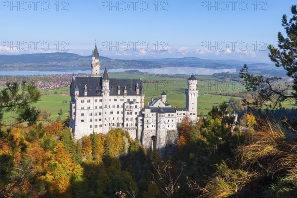 Impressive view of Neuschwanstein Castle over a tree-lined hill in autumn colors, Schwangau near Füssen, Ostallgäu, Allgäu, Bavaria, Germany