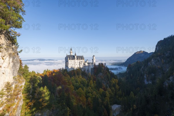 Historic Neuschwanstein Castle in the midst of a dense forest landscape and rock walls under clear skies, Schwangau near Füssen, Ostallgäu, Allgäu, Bavaria, Germany