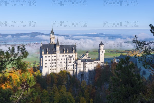 Romantic Neuschwanstein Castle in picturesque surroundings with colorful autumn forest and green meadows, Schwangau near Füssen, Ostallgäu, Allgäu, Bavaria, Germany