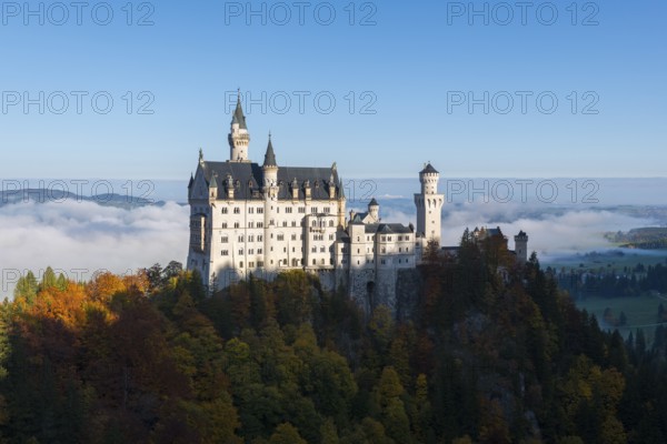 Majestic Neuschwanstein Castle on hills in front of a misty mountain panorama in autumn colors, Schwangau near Füssen, Ostallgäu, Allgäu, Bavaria, Germany