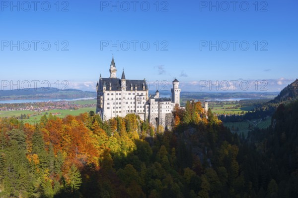 Neuschwanstein Castle elegantly situated above autumnal forests against bright blue skies and wide horizons, Schwangau near Füssen, Ostallgäu, Allgäu, Bavaria, Germany