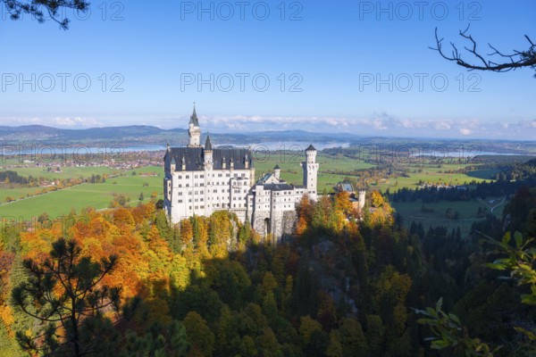 Romantic Neuschwanstein Castle towers over an open-air forest landscape characterized by autumn colors, Schwangau near Füssen, Ostallgäu, Allgäu, Bavaria, Germany
