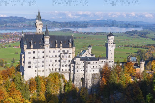 Impressive Neuschwanstein Castle stands majestically in an autumn-colored landscape with far-reaching views, Schwangau near Füssen, Ostallgäu, Allgäu, Bavaria, Germany