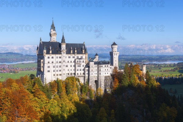 Impressive Neuschwanstein Castle with towers over a bright autumn forest landscape against a blue sky, Schwangau near Füssen, Ostallgäu, Allgäu, Bavaria, Germany