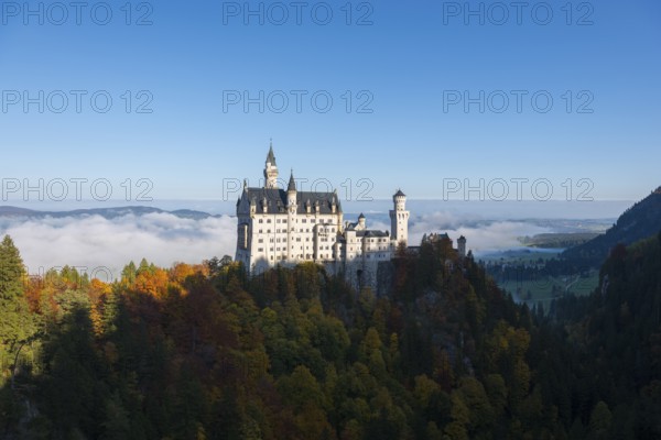 Fairytale castle Neuschwanstein on a wooded hill in an autumn landscape with fog over the mountains, Schwangau near Füssen, Ostallgäu, Allgäu, Bavaria, Germany