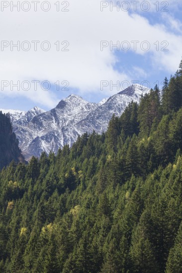 Forest and mountains on the Wilde Wasser Weg in autumn, WildeWasserweg, Stubai Valley, Tyrol, Austria