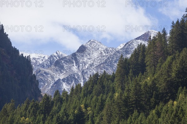 Forest and mountains on the Wilde Wasser Weg in autumn, WildeWasserweg, Stubai Valley, Tyrol, Austria