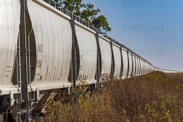 Luverne, Minnesota - Dozens of Halliburton covered hopper rail cars, used for carrying grain, are parked on railroad tracks in southwestern Minnesota