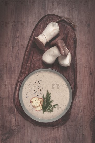 Mushroom cream soup, with dill and bruschetta, mushroom eringi