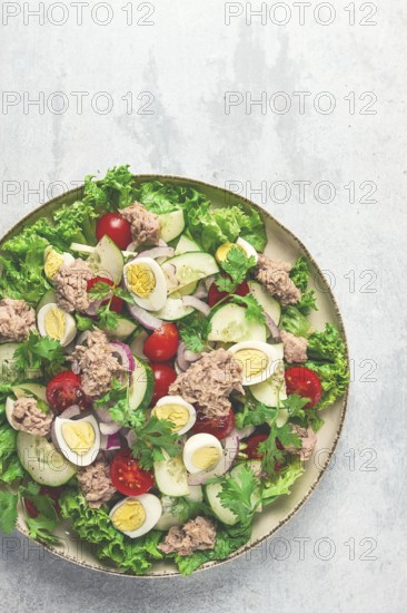 Tuna salad, vegetable salad with quail eggs, lettuce, red onion and cucumbers, on a light gray table, keto food, lifestyle, healthy eating, selective focus, top view, no people
