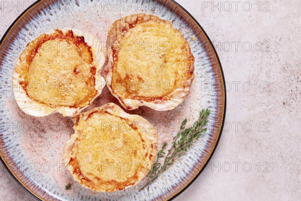 Scallop, baked in shells, with cheese and spices, on a plate, homemade
