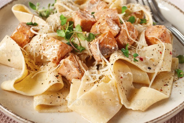 Tagliatelli pasta, with salmon slices and herbs, on a decorative plate, homemade, no people
