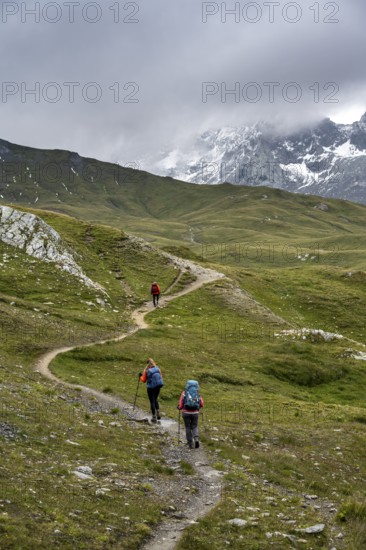 Hikers on hiking trail, cloudy mountain landscape, Hohe Tauern National Park, Carinthia, Austria