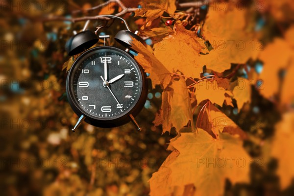 Alarm clock hangs on a branch with autumn leaves, symbolic photo of time change and winter time