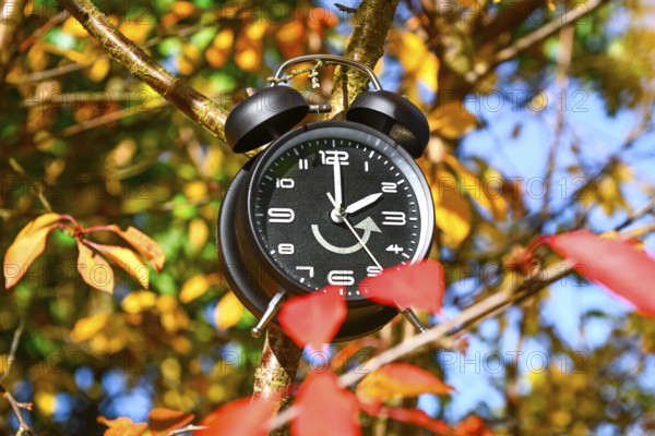 Alarm clock with backward arrow on a branch between autumn leaves, symbolic photo of time change and winter time, photo montage