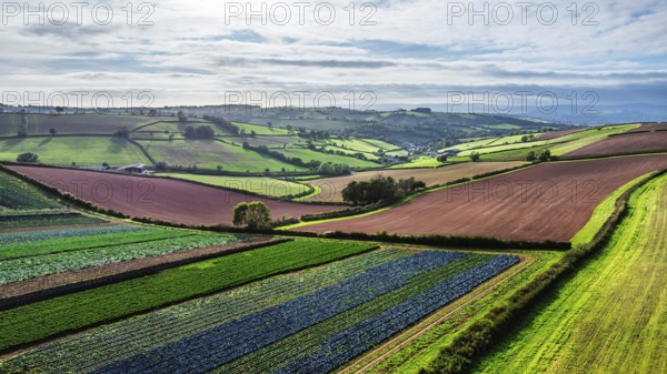 Fields and Farms at evening sun from a drone, Shaldon, Torquay, Devon, England, United Kingdom