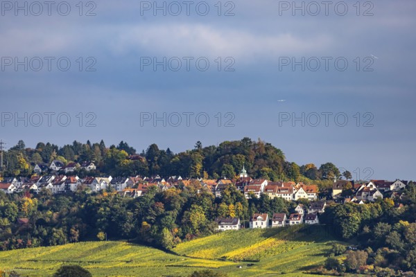 Landscape and vineyards near Stuttgart-Rotenberg. Stuttgart, Baden-Württemberg, Germany