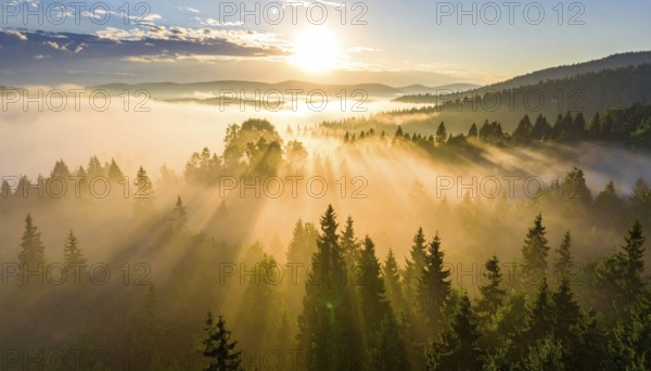 Expansive sun rays break through fog over a mountainous forest landscape, Fog covered forest in summer with mystic golden sunlight, aerial view of spring morning landscape, backlight sunshine with sunbeams, AI generated