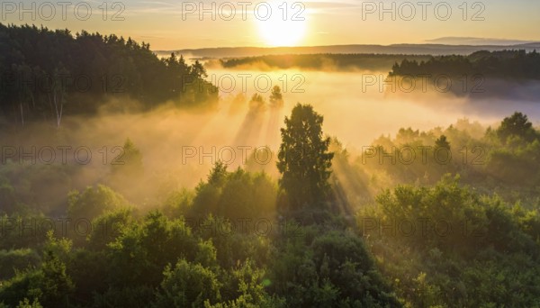 Tranquil sunrise with light rays illuminating a misty forest landscape, Fog covered forest in summer with mystic golden sunlight, aerial view of spring morning landscape, backlight sunshine with sunbeams, AI generated