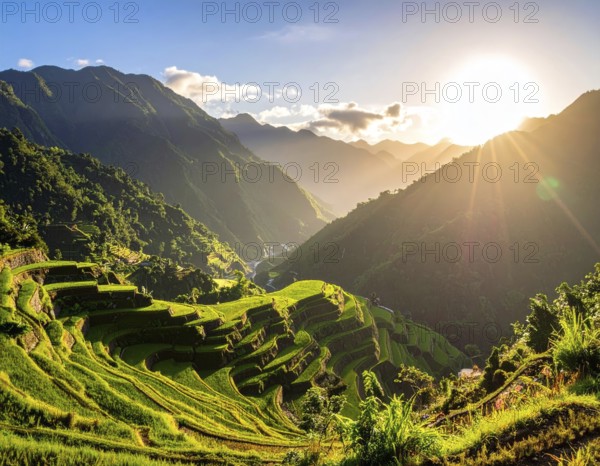 Early morning light bathes Philippines rice terraces cascading down mountain slopes, beautiful golden light, AI generated
