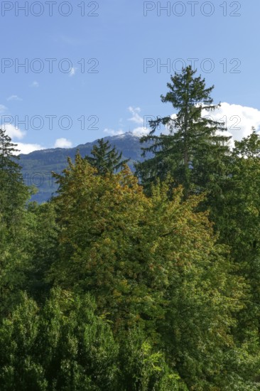 Patscherkofel mountain in autumn, Innsbruck, Tyrol, Austria