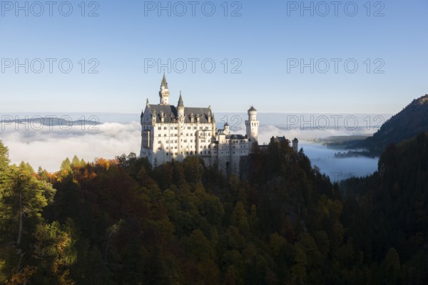 Neuschwanstein Castle in the midst of an autumn forest landscape with clouds and clear skies, Schwangau near Füssen, Ostallgäu, Allgäu, Bavaria, Germany
