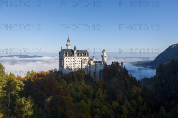 Neuschwanstein Castle, surrounded by clouds and thick forests, in autumn light, Schwangau near Füssen, Ostallgäu, Allgäu, Bavaria, Germany