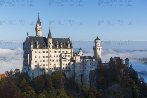 Detailed view of Neuschwanstein Castle with its characteristic towers over forests, Schwangau near Füssen, Ostallgäu, Allgäu, Bavaria, Germany