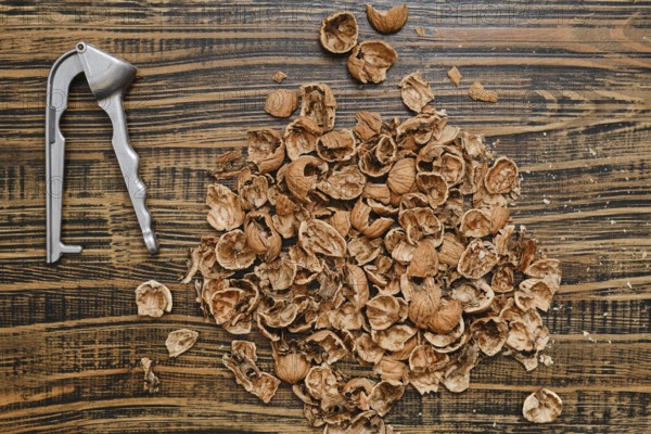 Brown nut shells are spread out on a textured wooden surface, alongside a silver nutcracker. It looks like a fun snack time has just taken place, with remnants left behind
