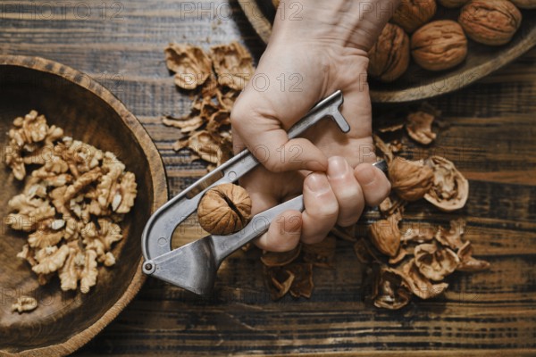 A person is holding a metal nutcracker, squeezing it to crack open a walnut. Chopped walnuts and empty shells surround the tool on a rustic wooden surface, creating a natural, cozy setting
